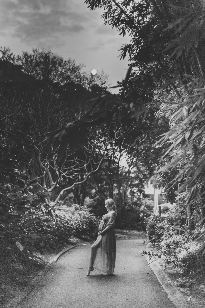 Black and white Brisbane Botanical Gardens Photos, maternity photographs at Mt Coot-tha botanical gardens