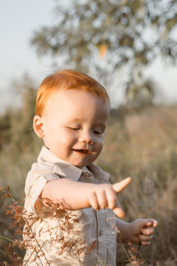 Cute boy with red hair looking and pointing at some grassy wheat flowers. Sunset shoot
