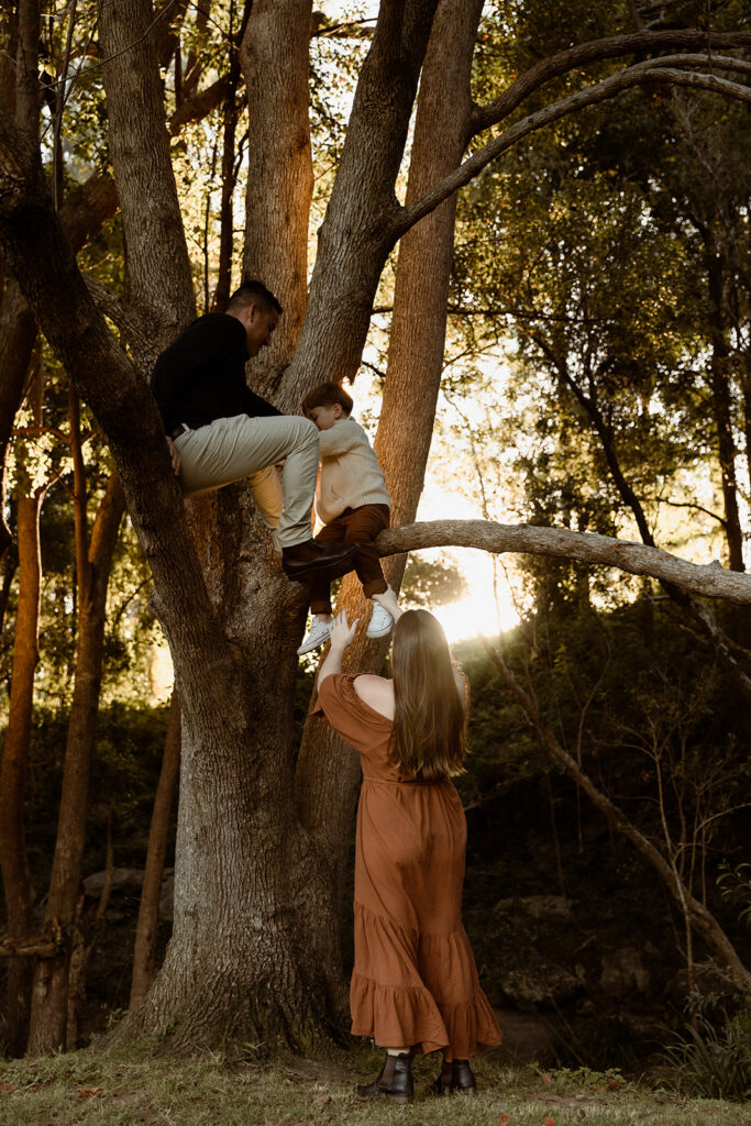 Son and Dad climbing a tree, mum helping son up.