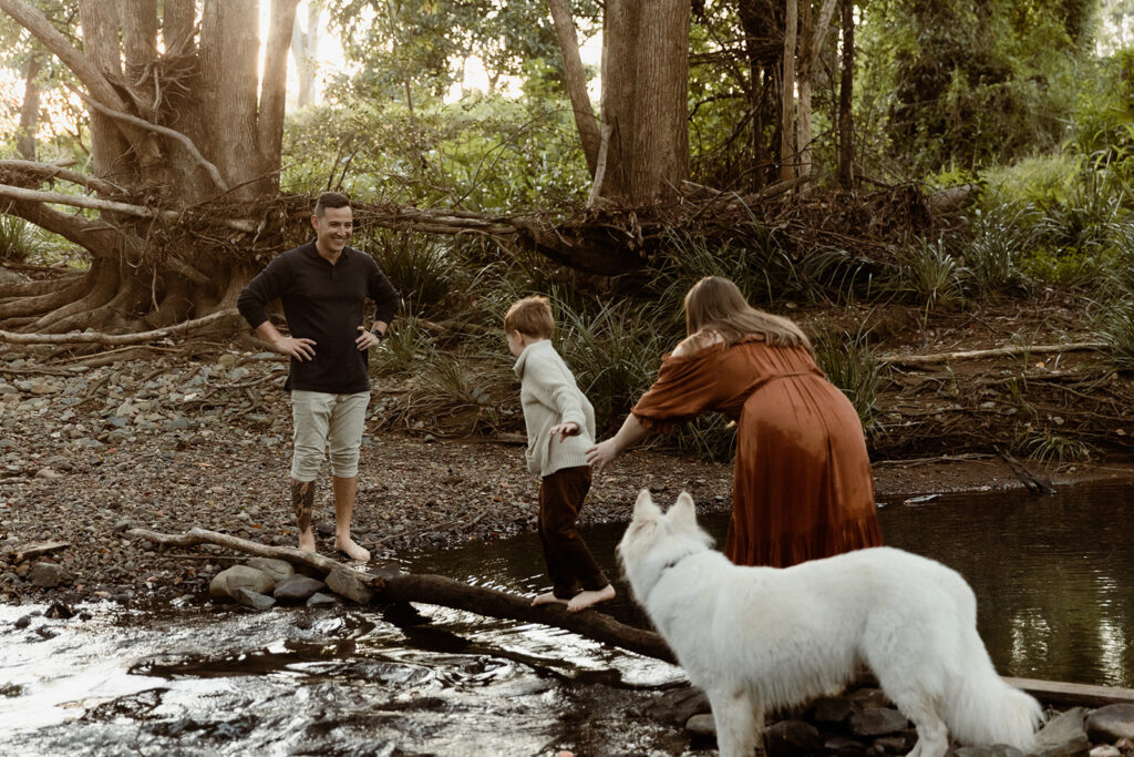 Dad waiting on a log, watching son and mum walk across the creek to him. Fur baby trying to cross too. 